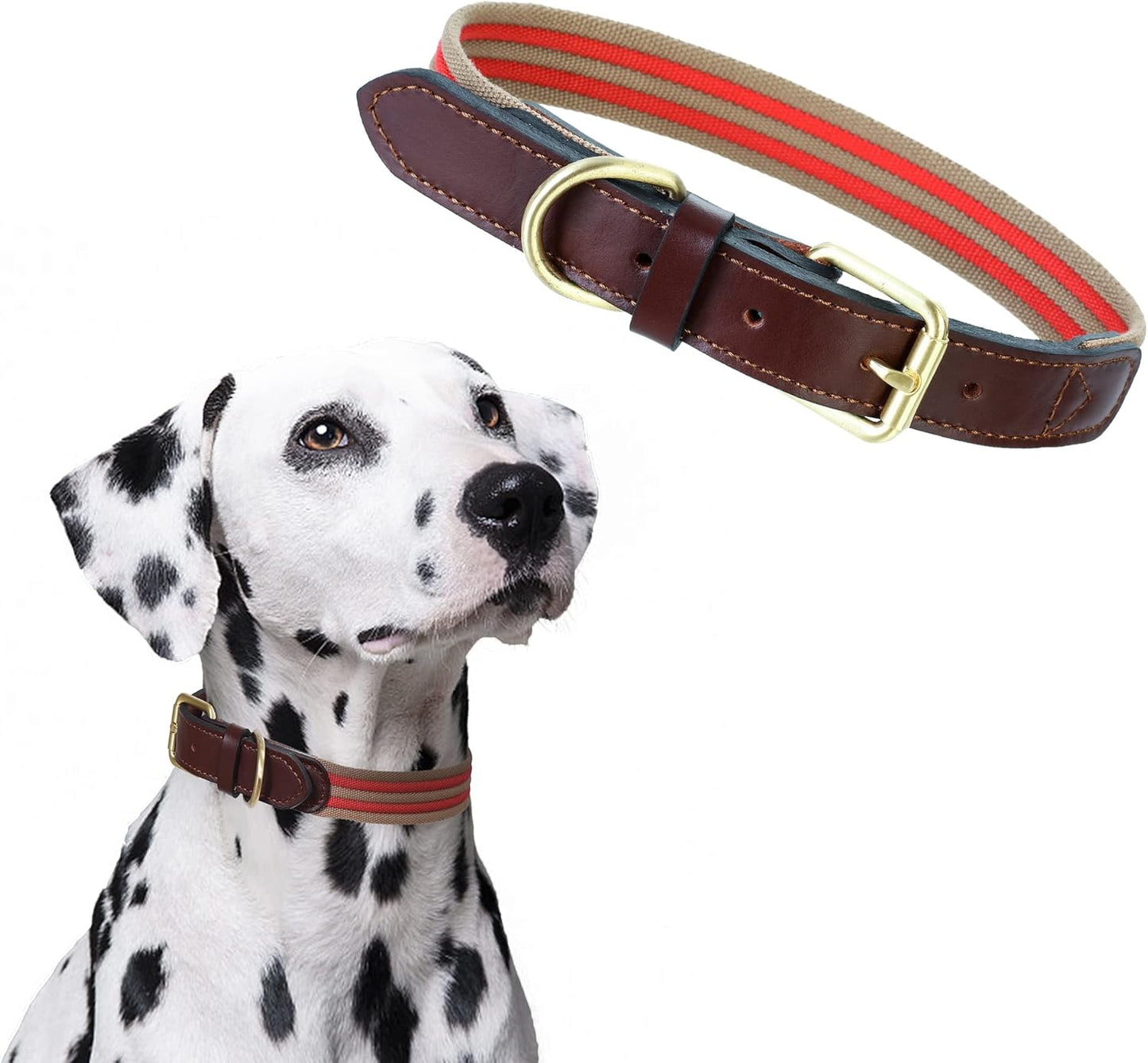 | Genuine Leather Dog Collar | Heavy Duty Canvas Dog Collars with Adjustable Rust-Proof Metal Pin Buckle | Boy Dog Collars for Medium Dogs(Pin Buckle-Turquoise Green)