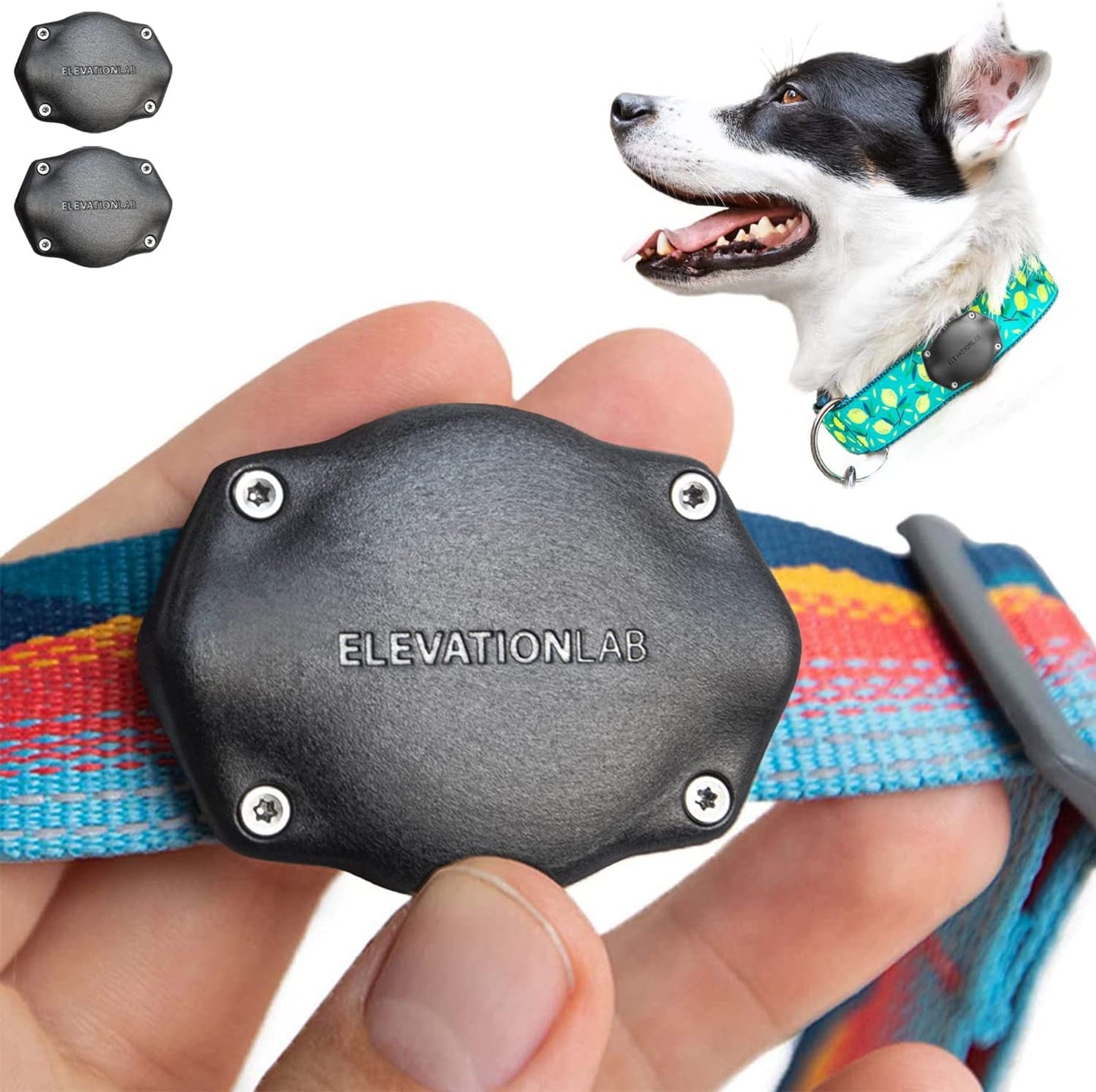 Airtag Dog Collar Holder - Tagvault™ - Secure Thru-Mount, IP69 Waterproof, Doesn'T Dangle, Fits All Width Collars