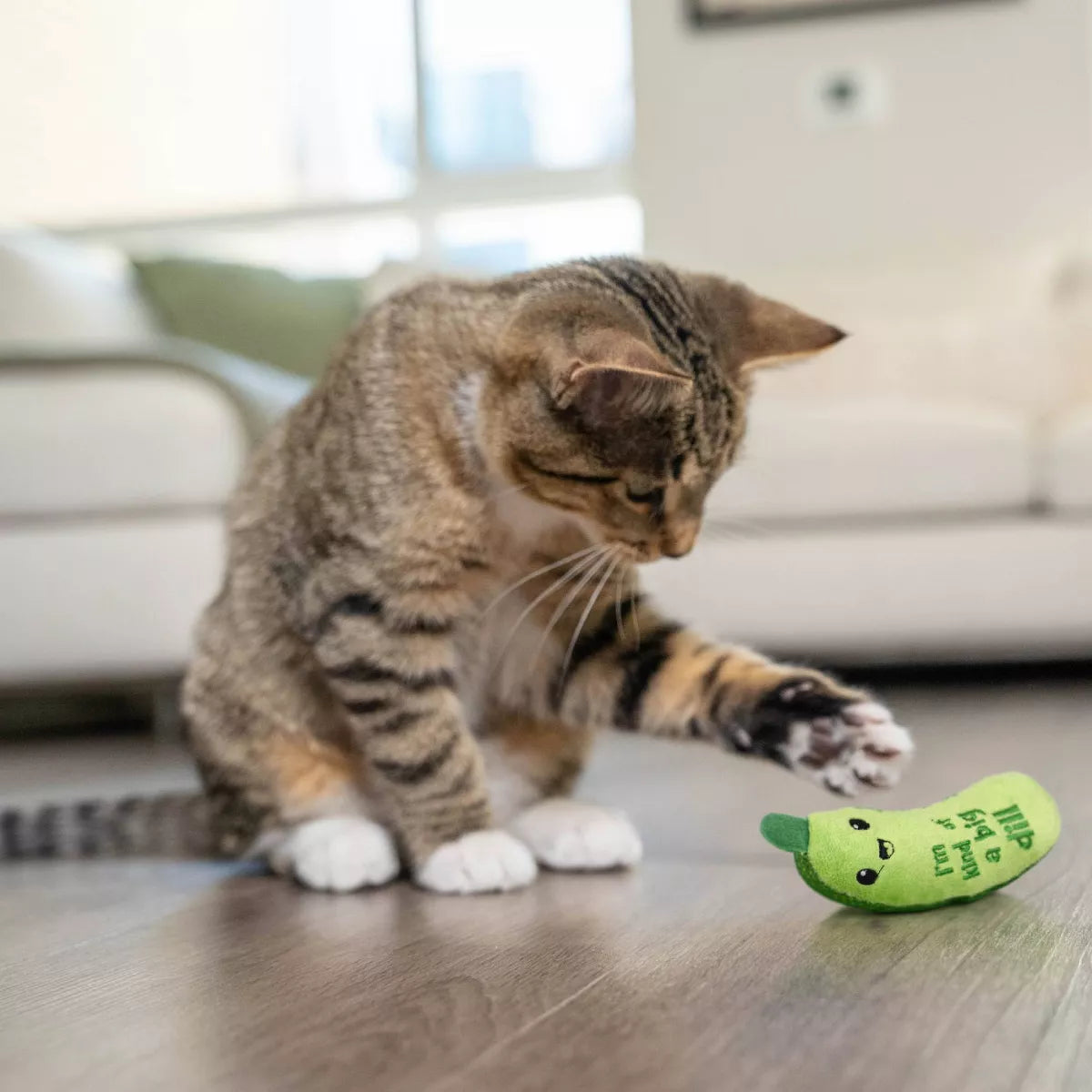 Catstages Crunchy Pickle Kicker Cat Toy
