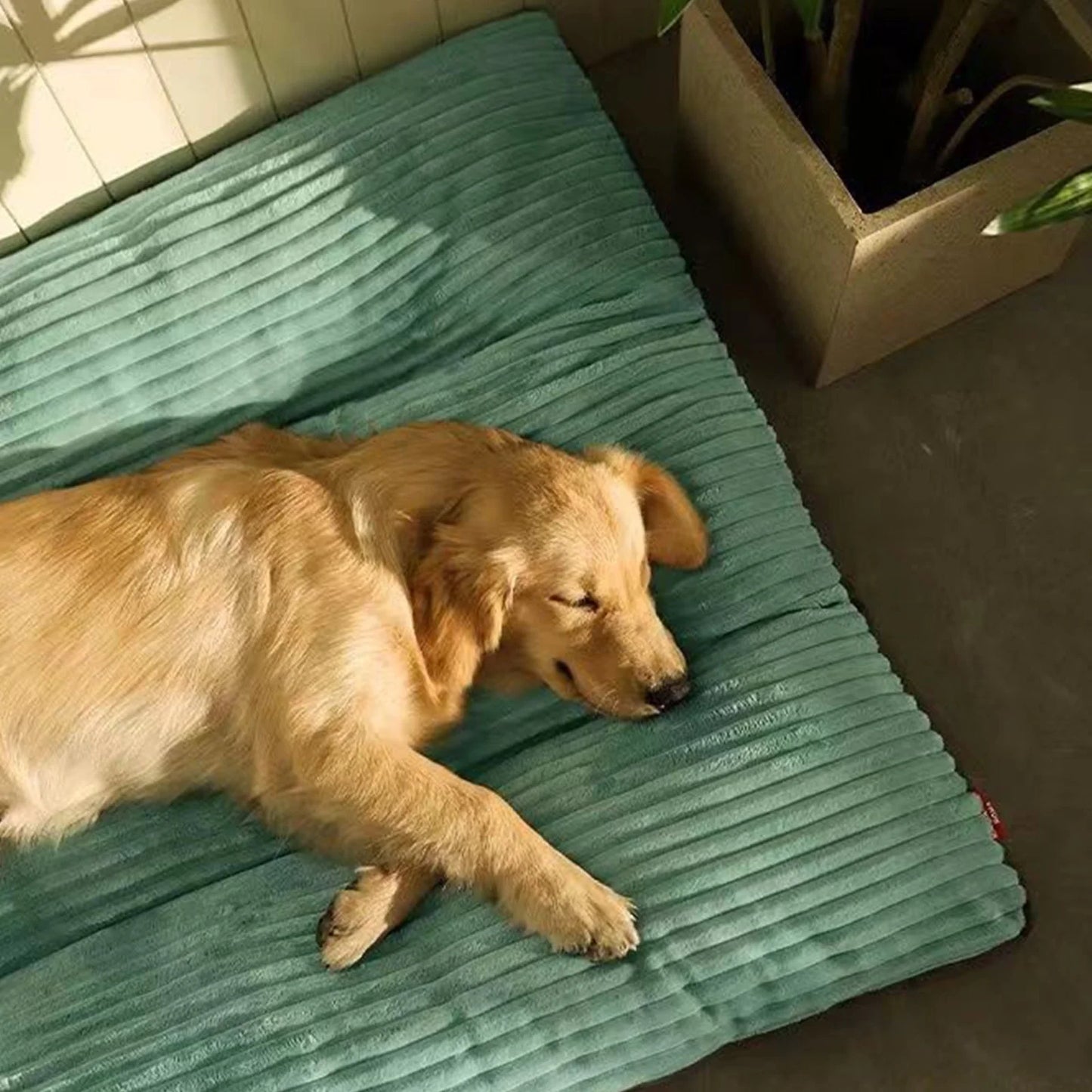 Dog Bed Washable with Removable Cover Waterproof, Soft Flannel Dog Crate Beds for Large Medium Small Dogs Cats, Non-Slip Pet Beds Kennel Pad 23.6 Inch X 18.5 Inch