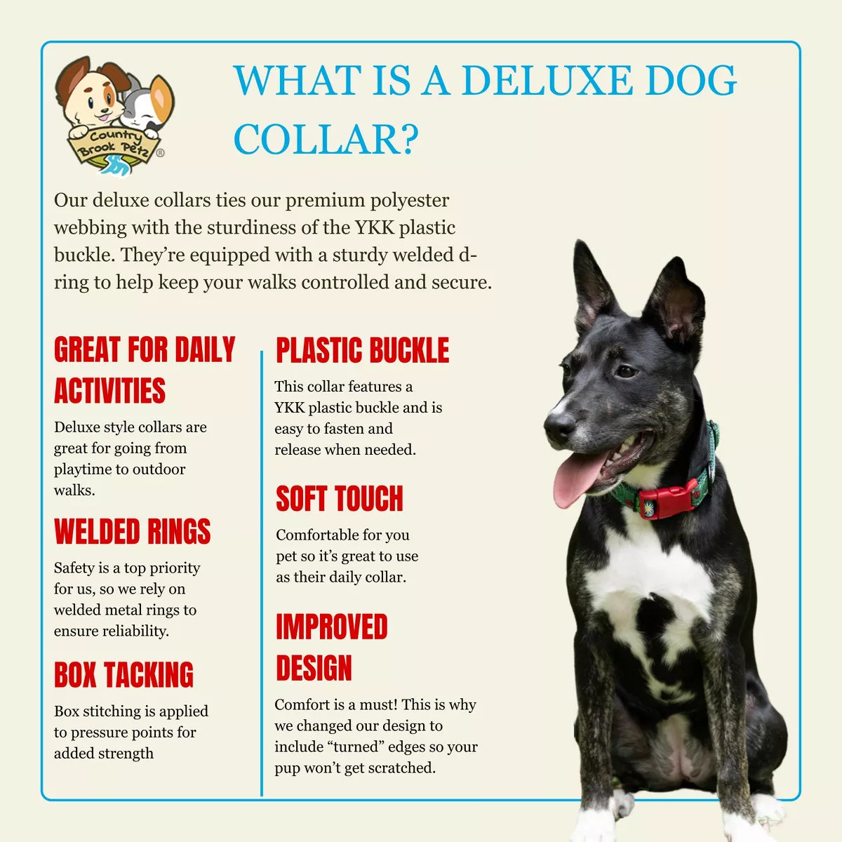 Country Brook Petz® Deluxe Dog Collar - Attitude Collection - Made in the U.S.A.