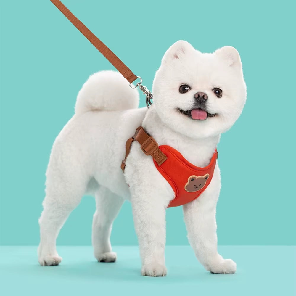Creative Cute Pet Harness Leash Anti-Escape Adjustable Cat Chest Strap Vest No Pull Dog Collar Harness for Small Medium Dog Cat