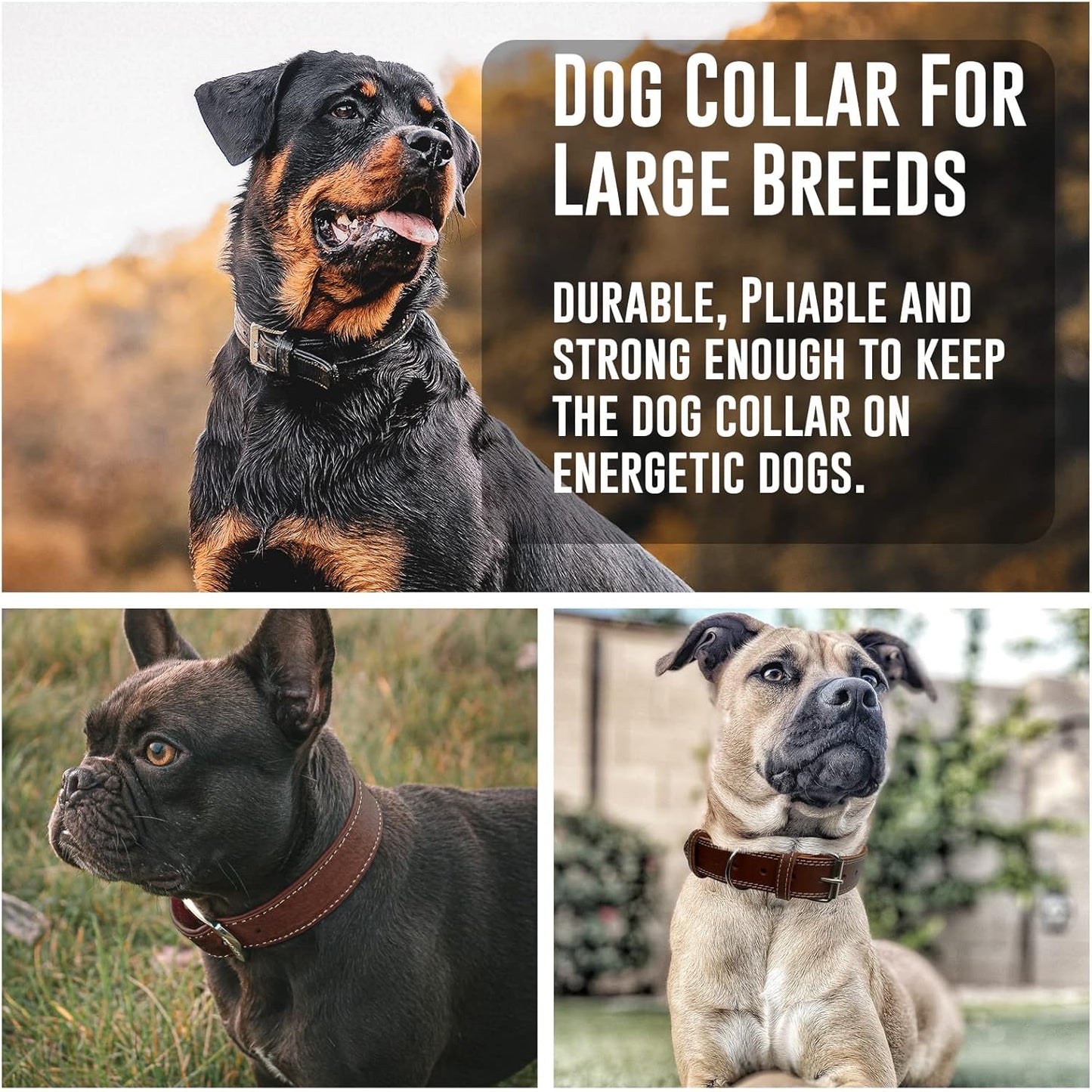 Leather Dog Collar with Reinforced Hardware, Heavy Duty Dog Collars for All Breeds, Made of Top Grain Genuine Leather That Is Soft & Durable (Brown, LG)