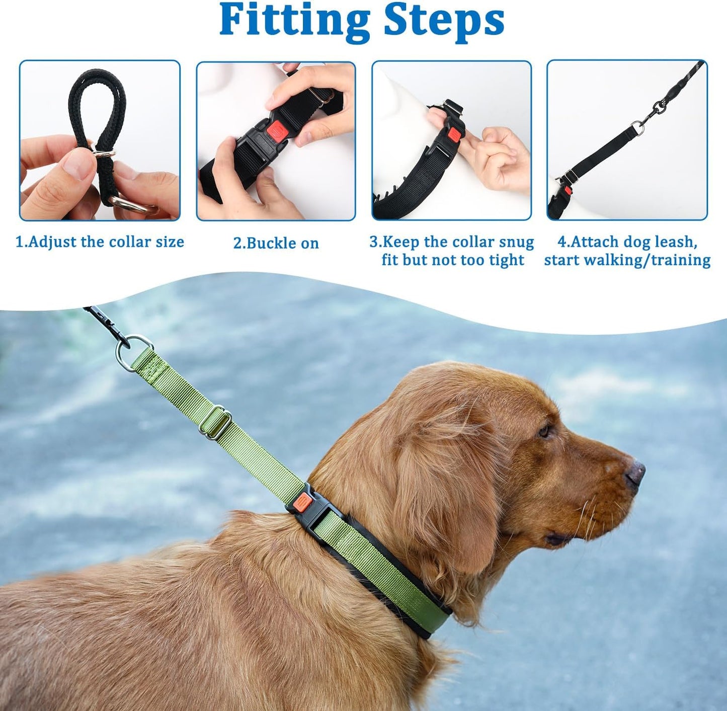 No Pull Dog Collar, Patented Martingale Collar for Small Medium Large Dogs with Buckle and Heavy Duty Nylon for Walking Training Hunting, Safe and Easy to Use(M, Green)