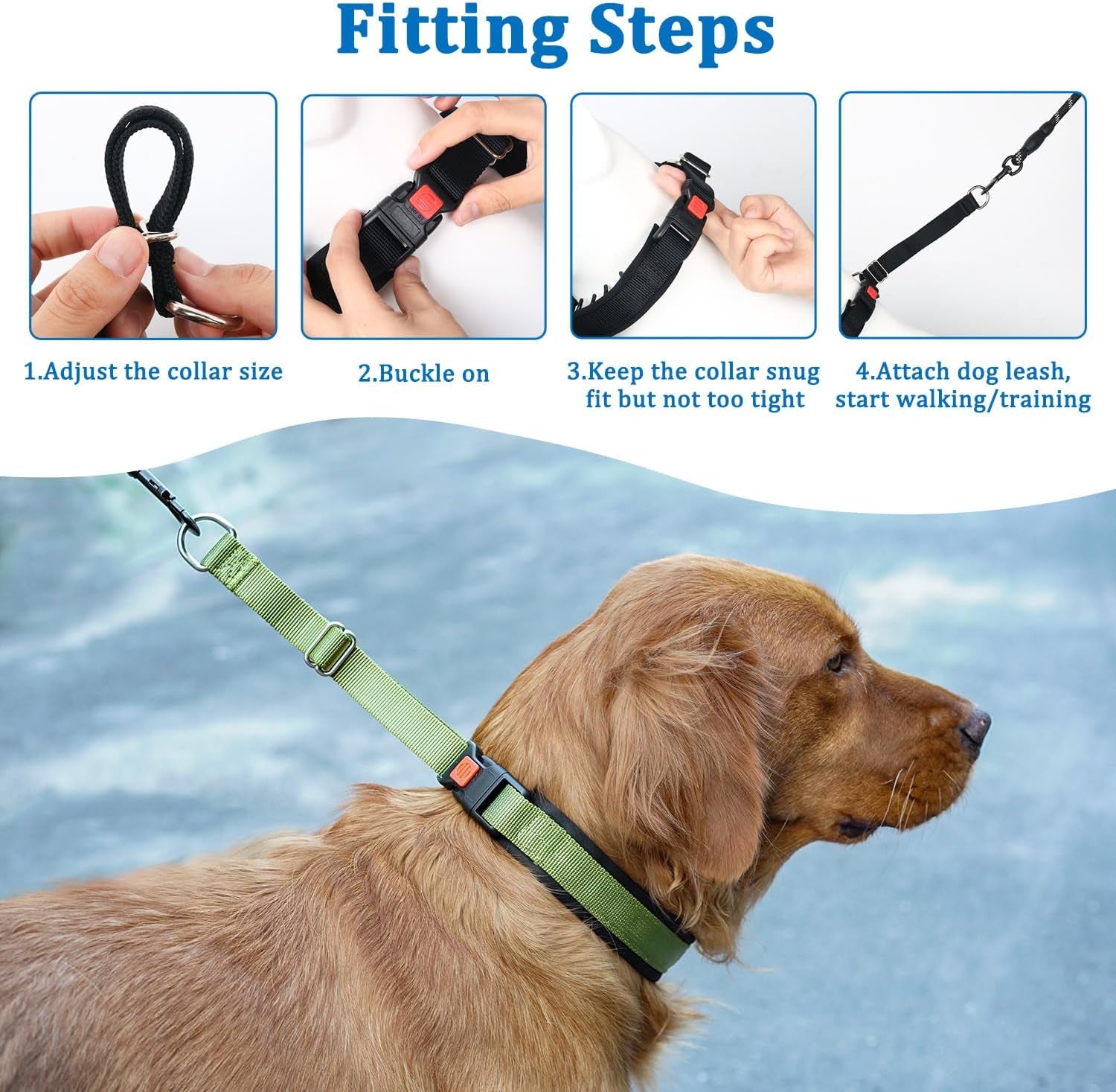 No Pull Dog Collar, Patented Martingale Collar for Small Medium Large Dogs with Buckle and Heavy Duty Nylon for Walking Training Hunting, Safe and Easy to Use(M, Green)