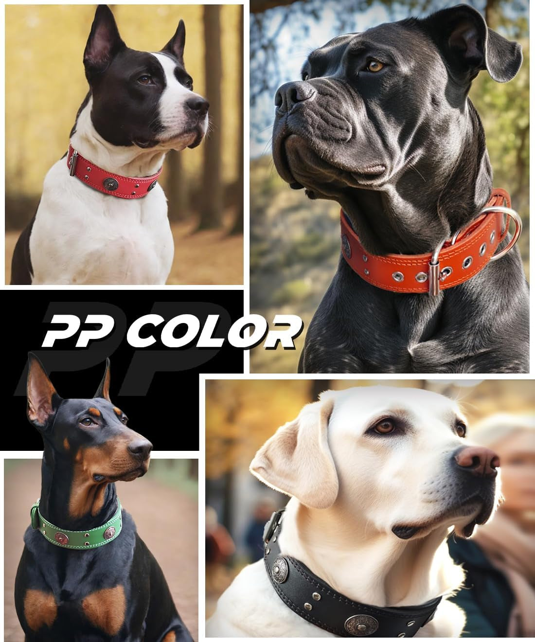 Leather Dog Collar, 2 Inches Wide Heavy Duty Genuine Leather Collars, Handmade, Soft, and Luxury, Eye-Catching Best Choice for Large and Medium Breed Dogs, Orange 18.5-22.5 In