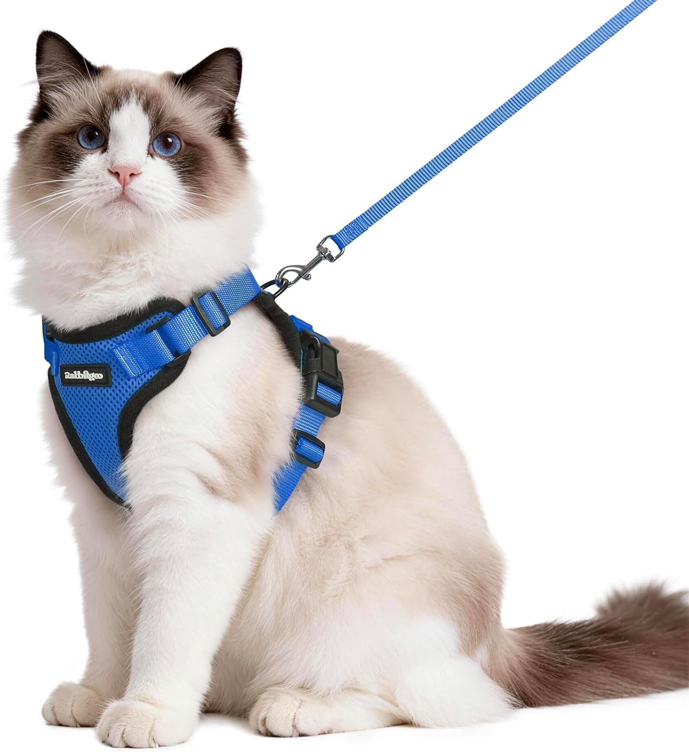 Cat Harness and Leash for Walking, Escape Proof Soft Adjustable Vest Harnesses for Cats, Easy Control Breathable Reflective Strips Jacket, Black, XS