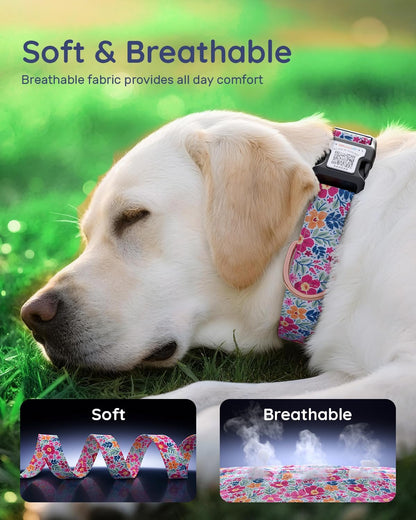 Cute Adjustable Dog Collar with QR Code Buckle - Metal Clip & Cotton Webbing Comfort Fit for Mediun Pets