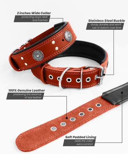 Leather Dog Collar, 2 Inches Wide Heavy Duty Genuine Leather Collars, Handmade, Soft, and Luxury, Eye-Catching Best Choice for Large and Medium Breed Dogs, Orange 18.5-22.5 In
