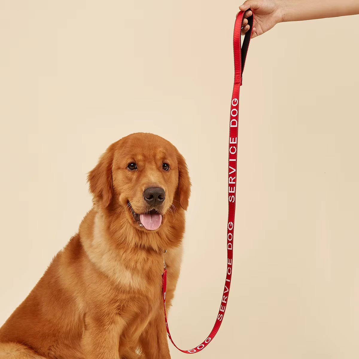 2.5*120Cm Service Dog Leash with Neoprene Handle, Animal Support, Embroidery Letter, Reflective Dog Lead