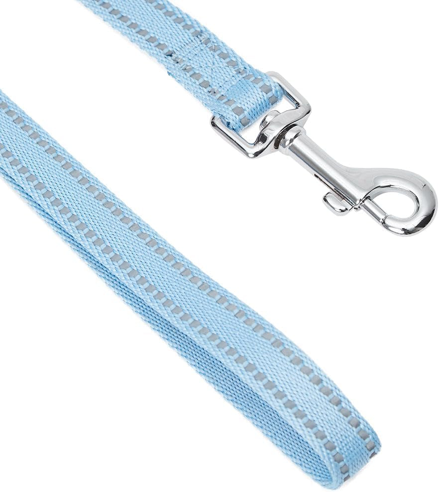 Essentials Durable Pastel Color Reflective Dog Leash, 5 Ft X 3/4", Baby Blue, Medium, Leashes for Dogs