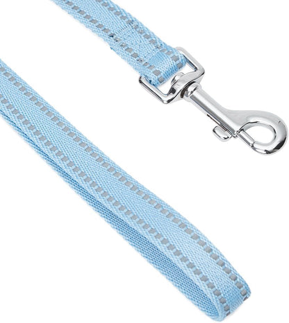 Essentials Durable Pastel Color Reflective Dog Leash, 5 Ft X 3/4", Baby Blue, Medium, Leashes for Dogs