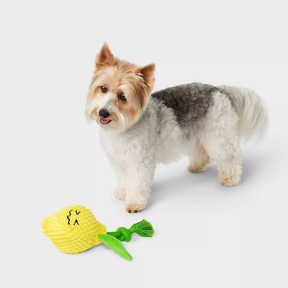 7.5" Lemon Dog Rope Plush Toy - Boots & Barkley™