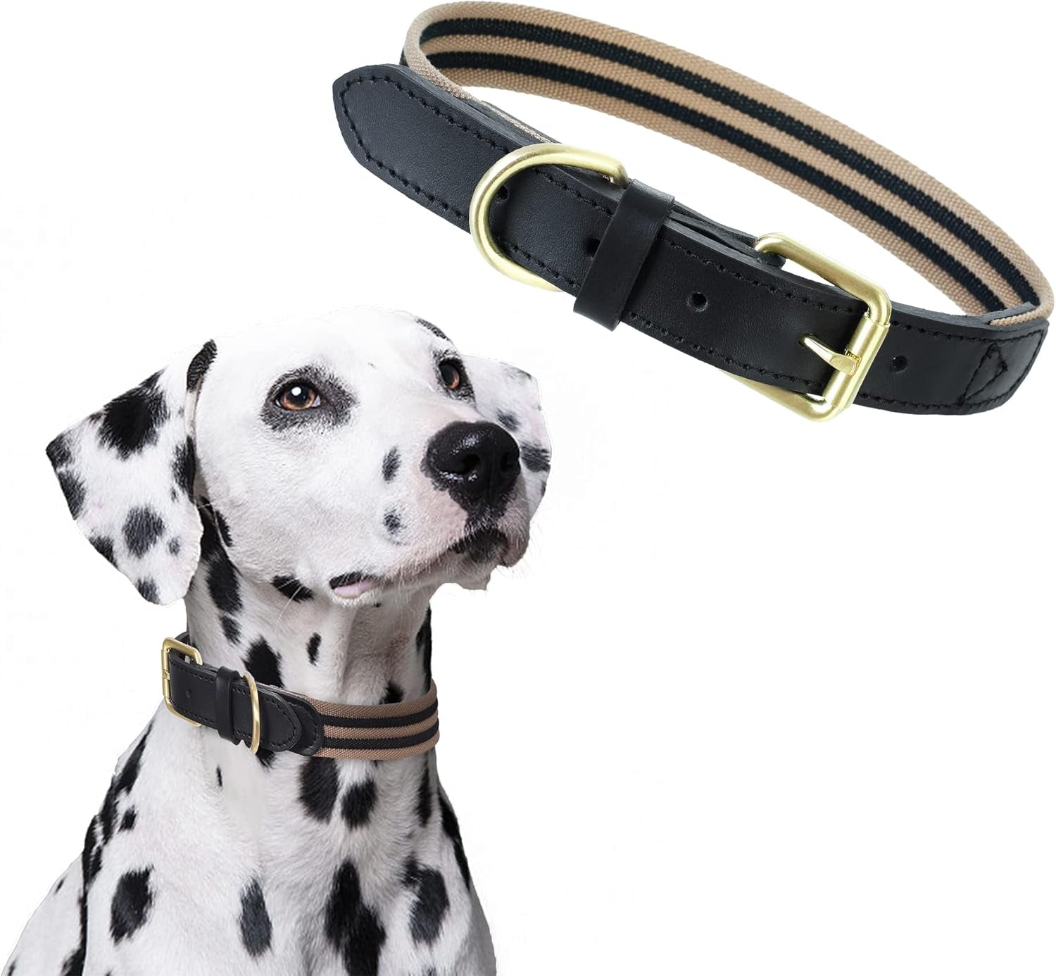 | Genuine Leather Dog Collar | Heavy Duty Canvas Dog Collars with Adjustable Rust-Proof Metal Pin Buckle | Boy Dog Collars for Medium Dogs(Pin Buckle-Turquoise Green)