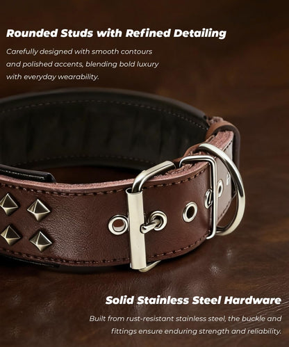 Eliteguard Genuine Leather Dog Collar, 2.2-Inch Handmade Studded with Stainless Steel Buckle, Daily Wear for Large Dogs, Brown 14-18.5 In