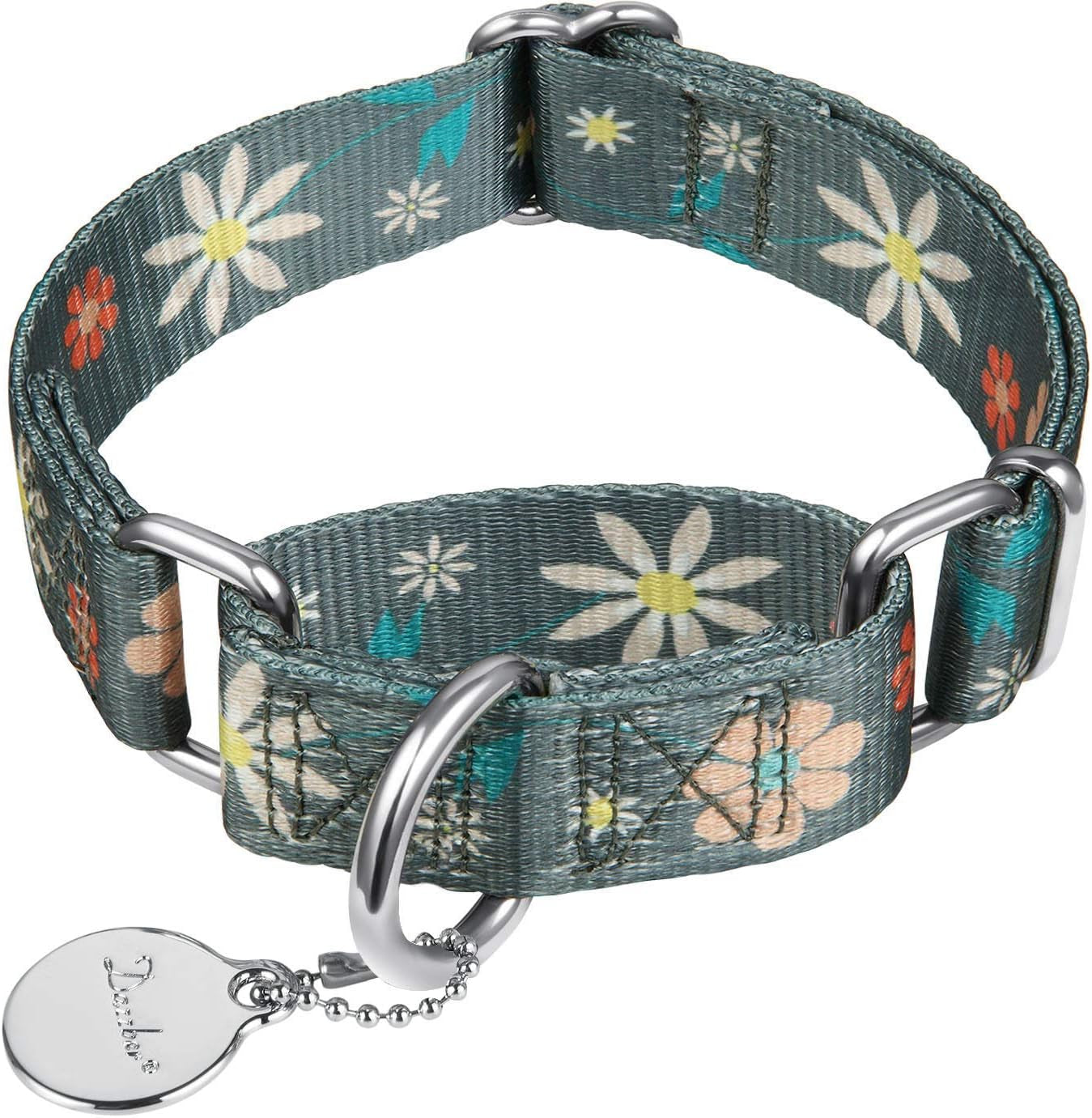 Martingale Dog Collar No Pull Pet Collar Heavy Duty Dog Martingale Collars Silky with Unique Geometric Pattern for Medium and Large Dogs (Large, Turquoise)