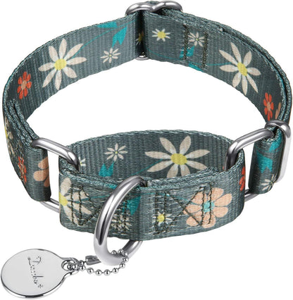 Martingale Dog Collar No Pull Pet Collar Heavy Duty Dog Martingale Collars Silky with Unique Geometric Pattern for Medium and Large Dogs (Large, Turquoise)