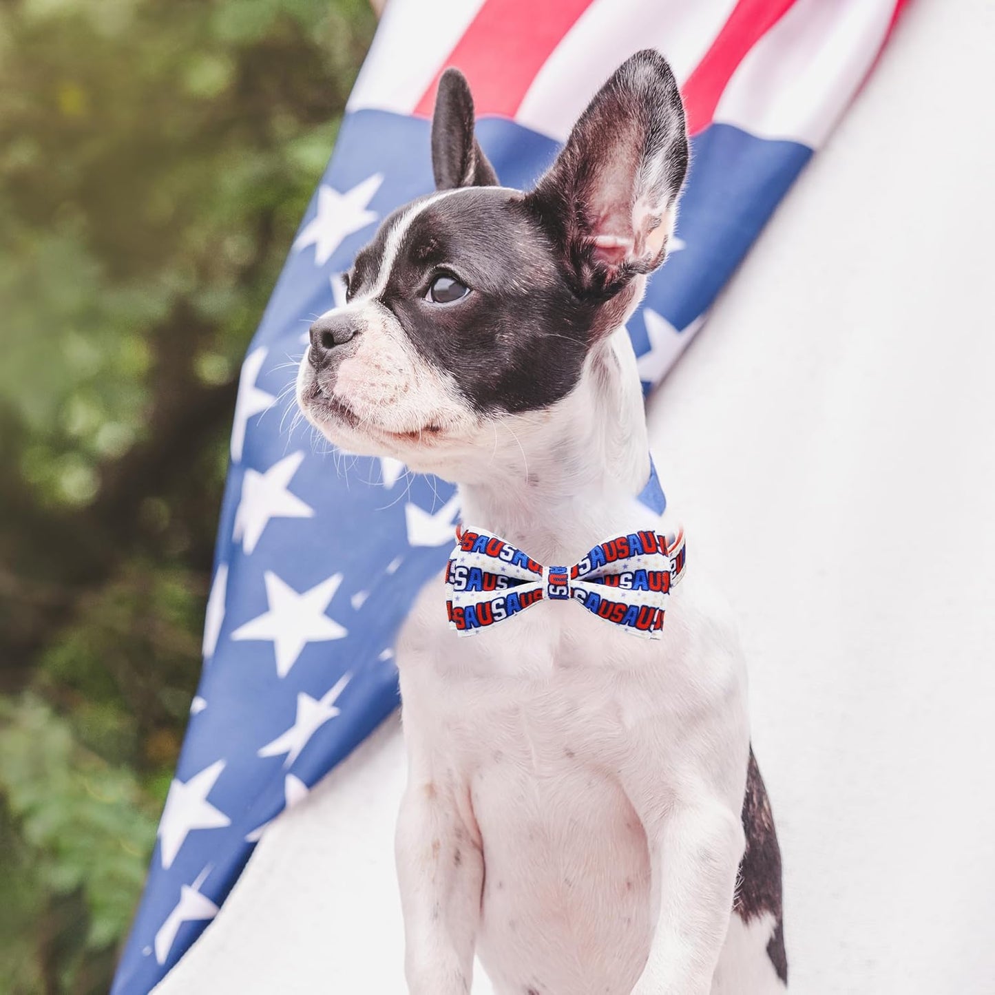 Patriotic 4th of July Dog Collar with Removable Bow Tie - Adjustable Red, White & Blue USA Stars for All Dog Sizes
