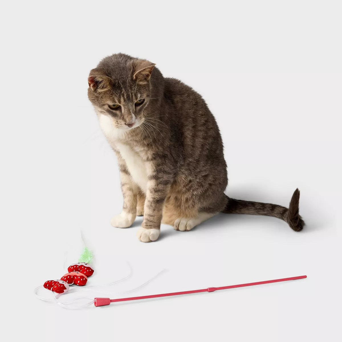 Strawberry Wand Cat Toy - Boots & Barkley™