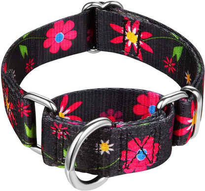 Martingale Dog Collar No Pull Pet Collar Heavy Duty Dog Martingale Collars Silky with Unique Geometric Pattern for Medium and Large Dogs (Large, Turquoise)