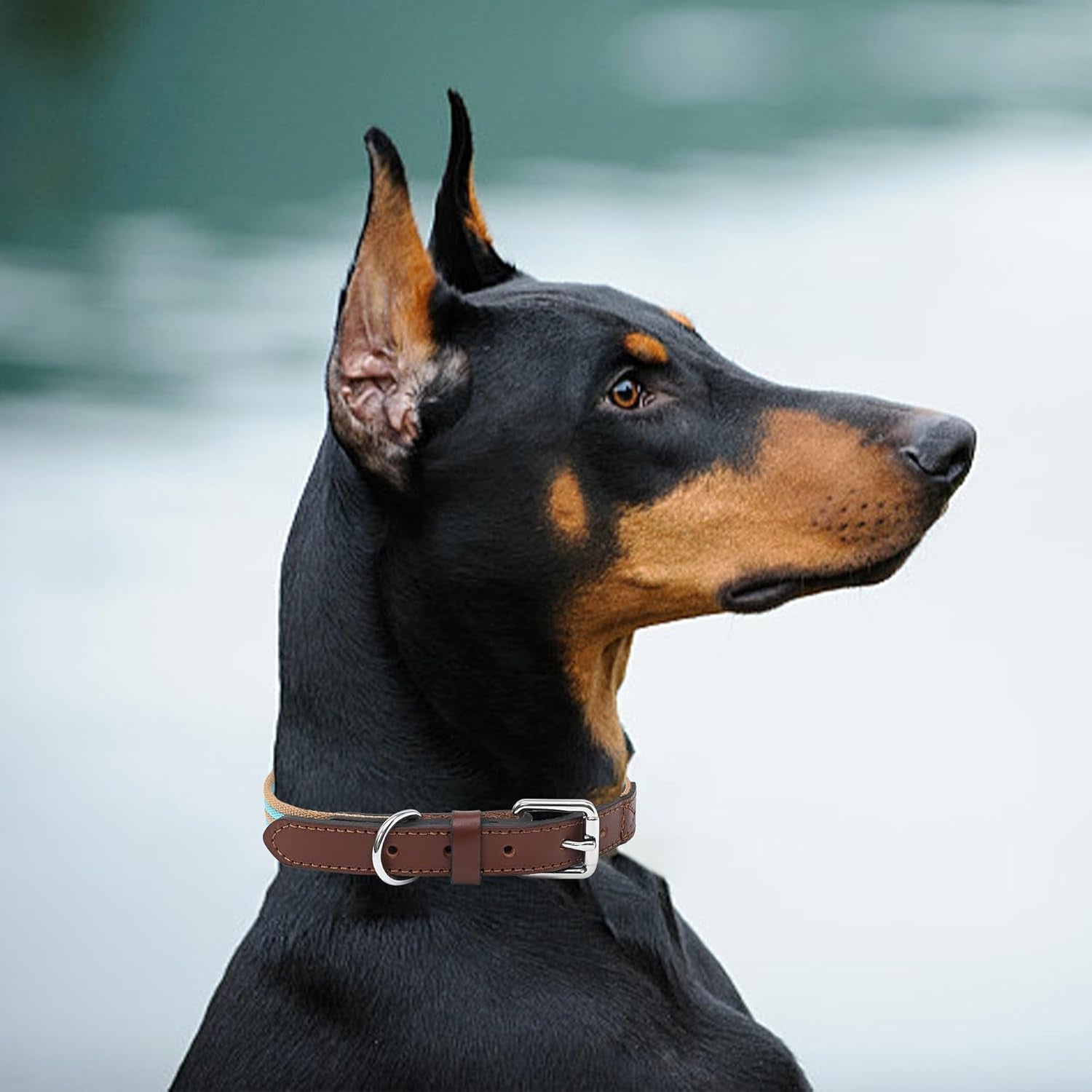 | Genuine Leather Dog Collar | Heavy Duty Canvas Dog Collars with Adjustable Rust-Proof Metal Pin Buckle | Boy Dog Collars for Medium Dogs(Pin Buckle-Turquoise Green)