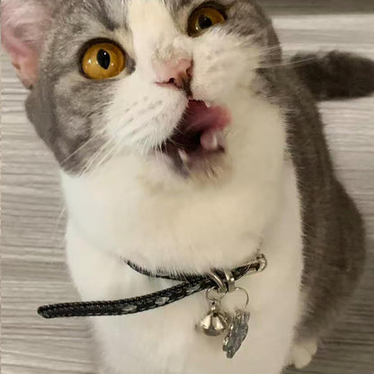 Black Premium Denim Pet Collar - Adjustable for Small Dogs & Cats, Rhinestone-Encrusted Buckle, Silver Glittery Paw Pendant & Bell, Size M Durable Fashion Denim Collar
