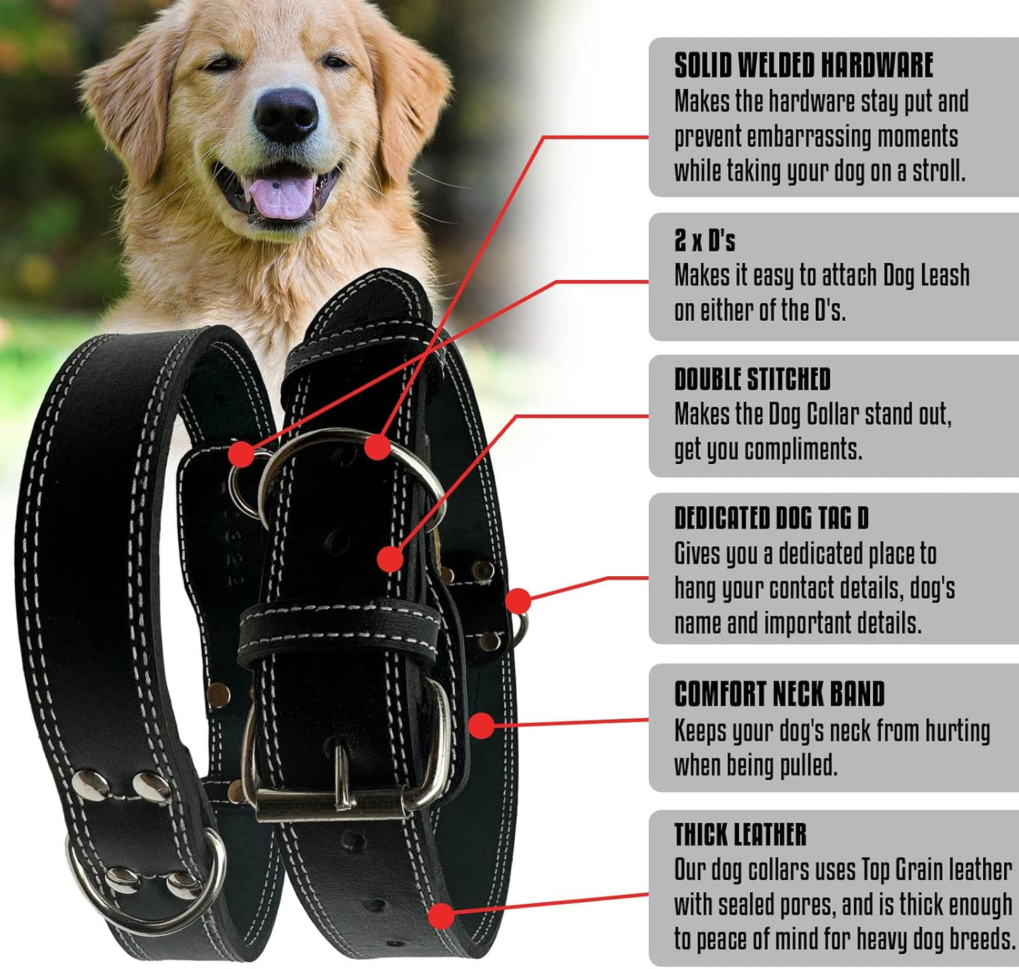 Leather Dog Collar with Reinforced Hardware, Heavy Duty Dog Collars for All Breeds, Made of Top Grain Genuine Leather That Is Soft & Durable (Black, MD)
