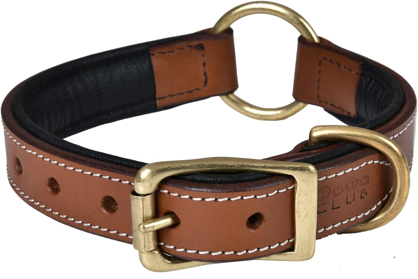 Genuine Leather Dog Collar | Full Grain, Heavy Duty, Comfortable, Padded, Strong | Best for Pups, Small, Medium, Large & XL Breeds (Medium (Fit Neck Size 14.5"-18.5"), Teal Green)
