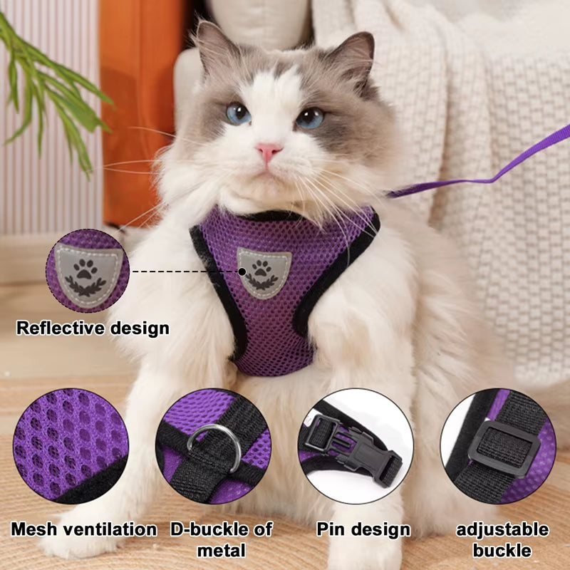 Adjustable Mesh Cute Small Cat Leash Breathable Summer Vest Cat Harness Leash Set Reflective for Small Dog Harness Leash