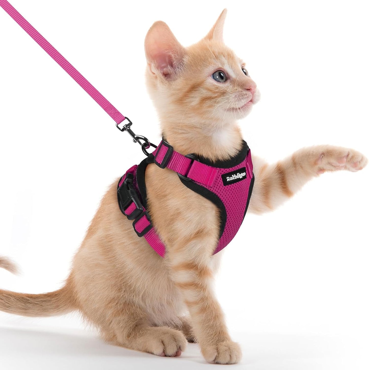 Cat Harness and Leash for Walking, Escape Proof Soft Adjustable Vest Harnesses for Cats, Easy Control Breathable Reflective Strips Jacket, Black, XS