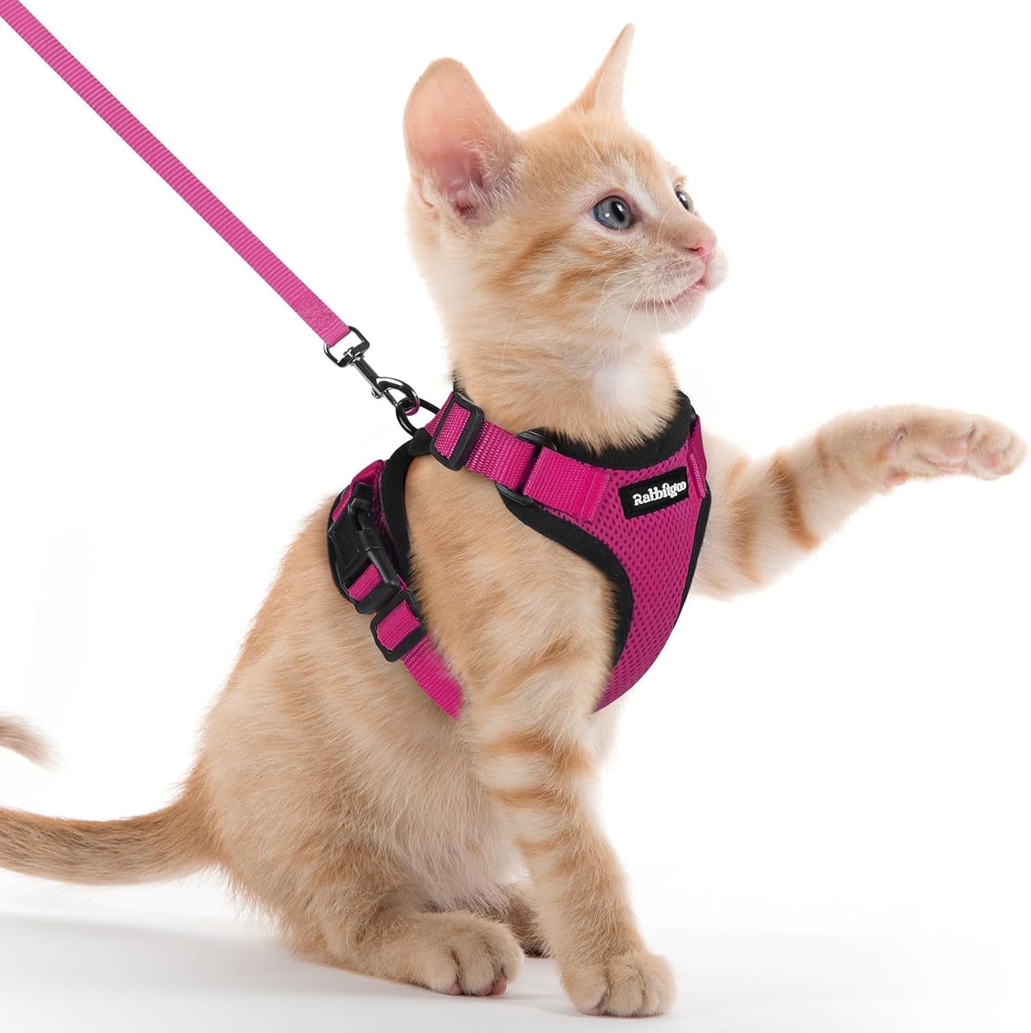 Cat Harness and Leash for Walking, Escape Proof Soft Adjustable Vest Harnesses for Cats, Easy Control Breathable Reflective Strips Jacket, Black, XS
