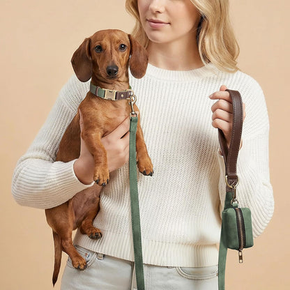 Soft PU Leather Dog Collars for Small Dogs,Classic Adjustable Dog Collars with Quick Release Metal Buckle,Easy Clean and Comfortable with Nylon Lining,Green,S Neck 11-15"