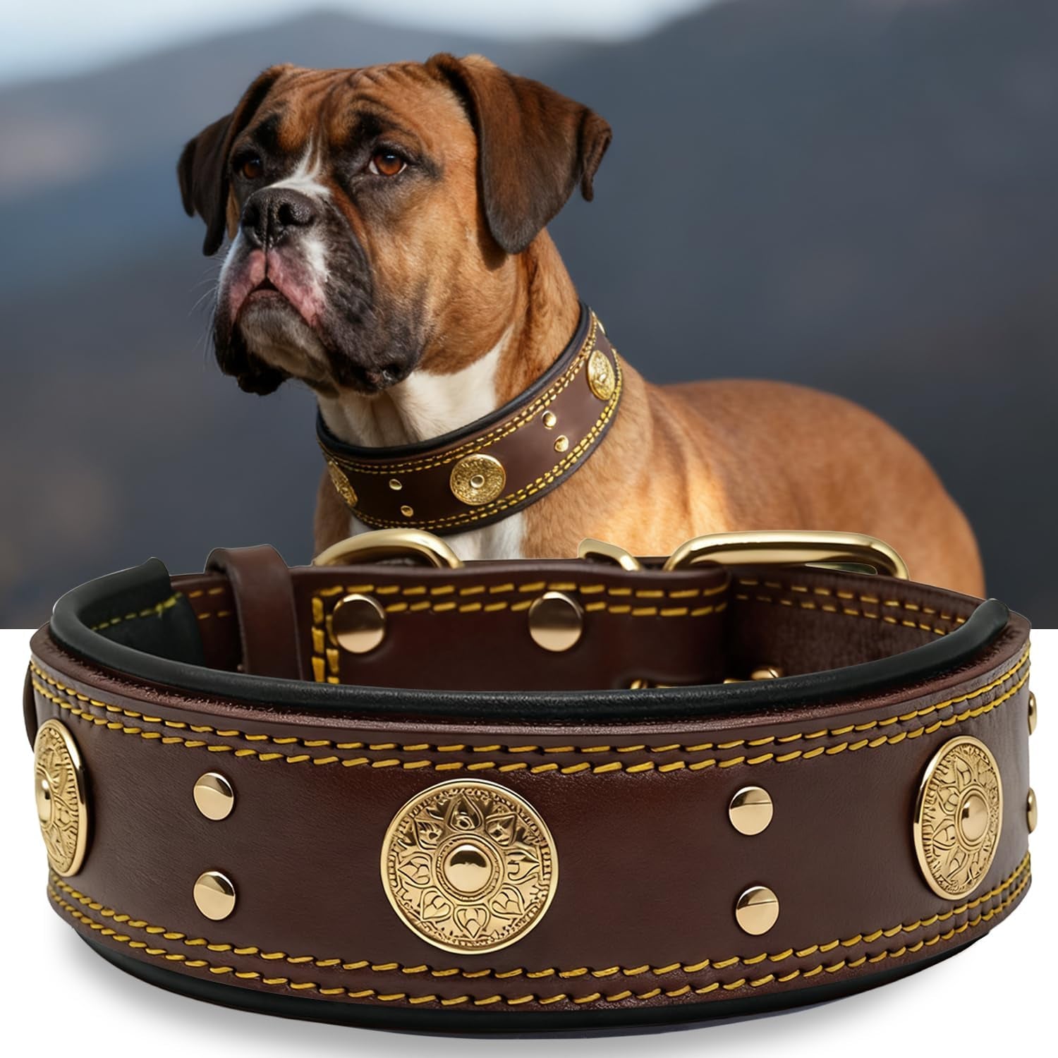 Leather Dog Collar, 2 Inches Wide Heavy Duty Genuine Leather Collars, Handmade, Soft, and Luxury, Eye-Catching Best Choice for Large and Medium Breed Dogs, Orange 18.5-22.5 In