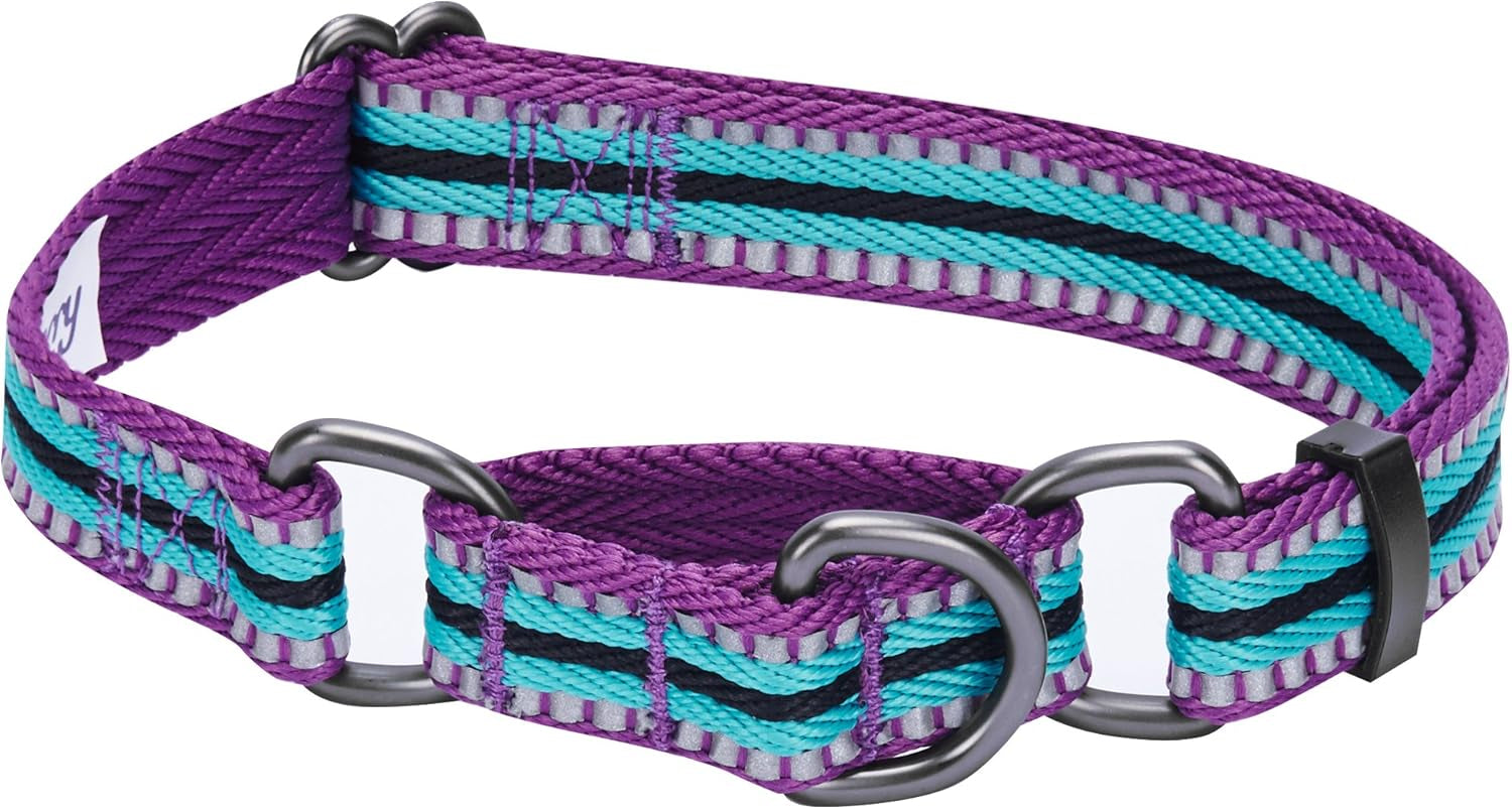 4 Colors 3M Reflective Multi-Colored Stripe Martingale Safety Training Dog Collar, Violet and River Blue, Medium, Heavy Duty Adjustable Collars for Dogs