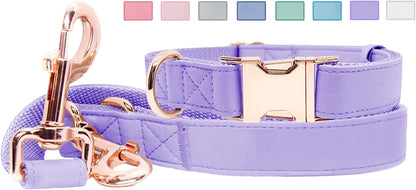 Soft Leather Dog Collar and Leash (6.6') Set - Stylish Rose Gold Heavy Duty Metal Buckle, 4 Adjustable Lengths Leash for Small Medium Large Dogs - Comfortable & Easy to Clean Pink M(13.8"-19.7")