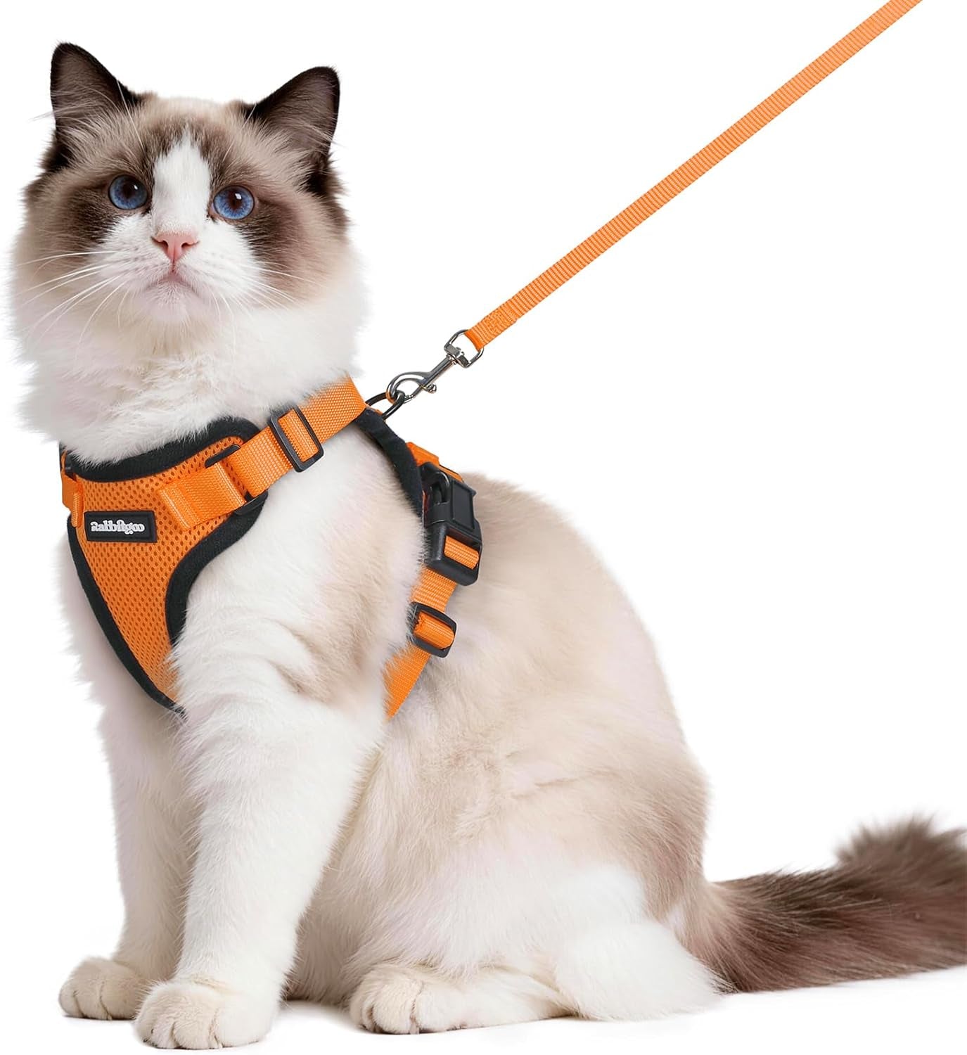 Cat Harness and Leash for Walking, Escape Proof Soft Adjustable Vest Harnesses for Cats, Easy Control Breathable Reflective Strips Jacket, Black, XS