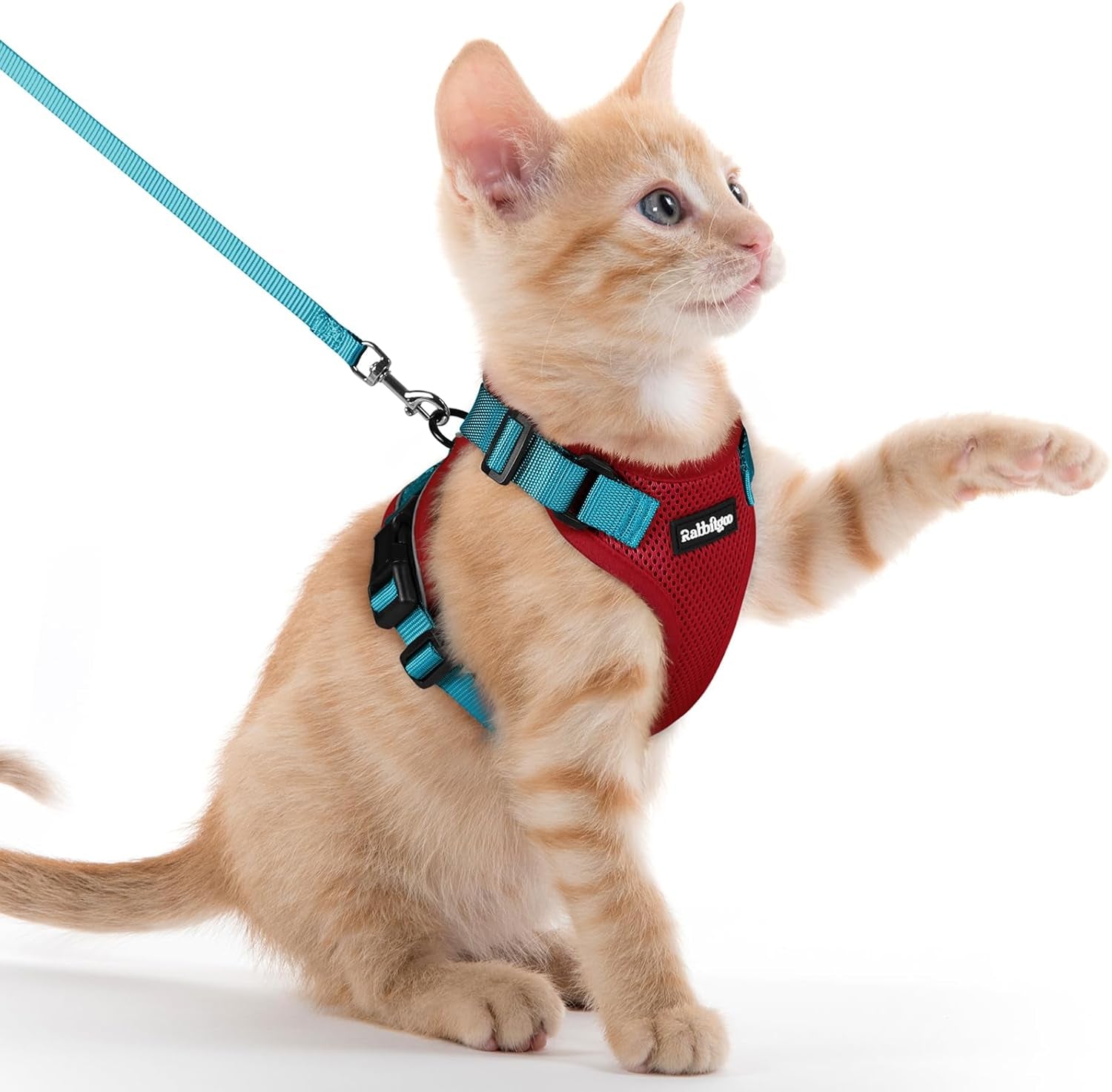 Cat Harness and Leash for Walking, Escape Proof Soft Adjustable Vest Harnesses for Cats, Easy Control Breathable Reflective Strips Jacket, Black, XS