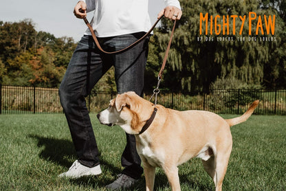 Martingale Dog Collar - No Pull Design - Stainless Steel Chain - Limited Chain Cinch Training - Brown Leather Martingale Training Collar - Small Size