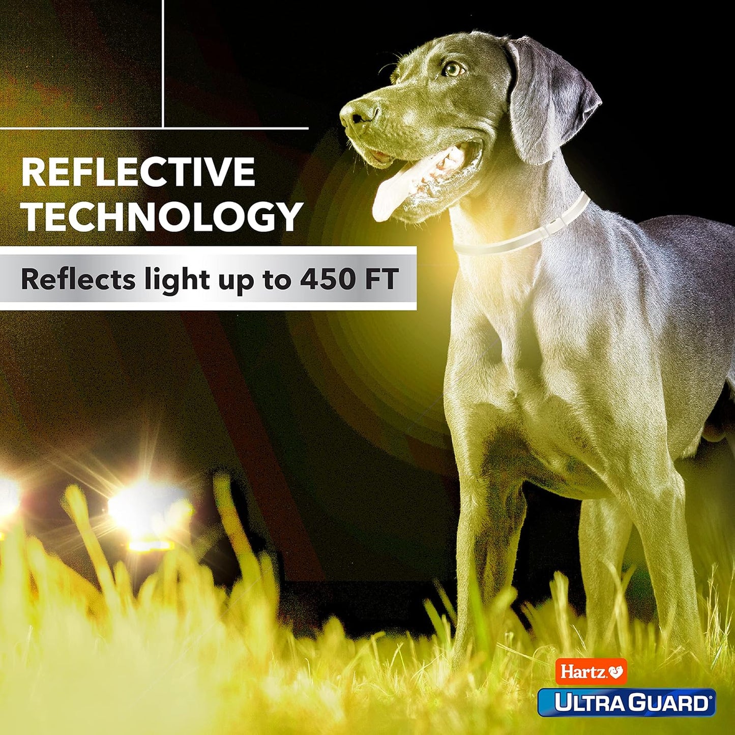 Ultraguard Pro Reflective Flea & Tick Collar for Dogs and Puppies, 7 Month Flea and Tick Prevention per Collar, 1 Count