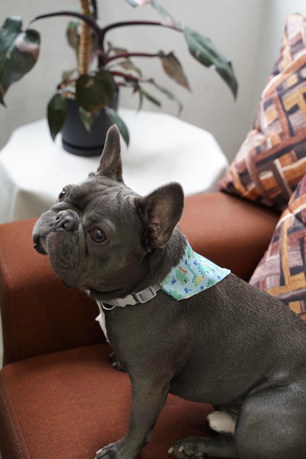 Dog Bandana and Collar Set, Adjustable Soft Lightweight Pet Accessory for Neck 26–42 Cm (10.2–16.5") (Blue Dinosaur)
