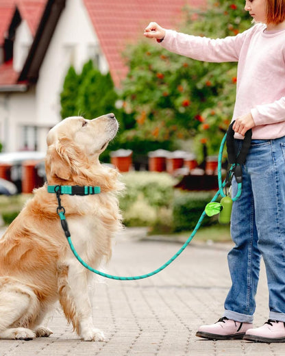Reflective Dog Collar and Leash Set, 6FT Strong Climbing Rope Leash with Padded Handle, Adjustable Pet Collar with Soft Neoprene Padding for Large Dogs, Teal, L