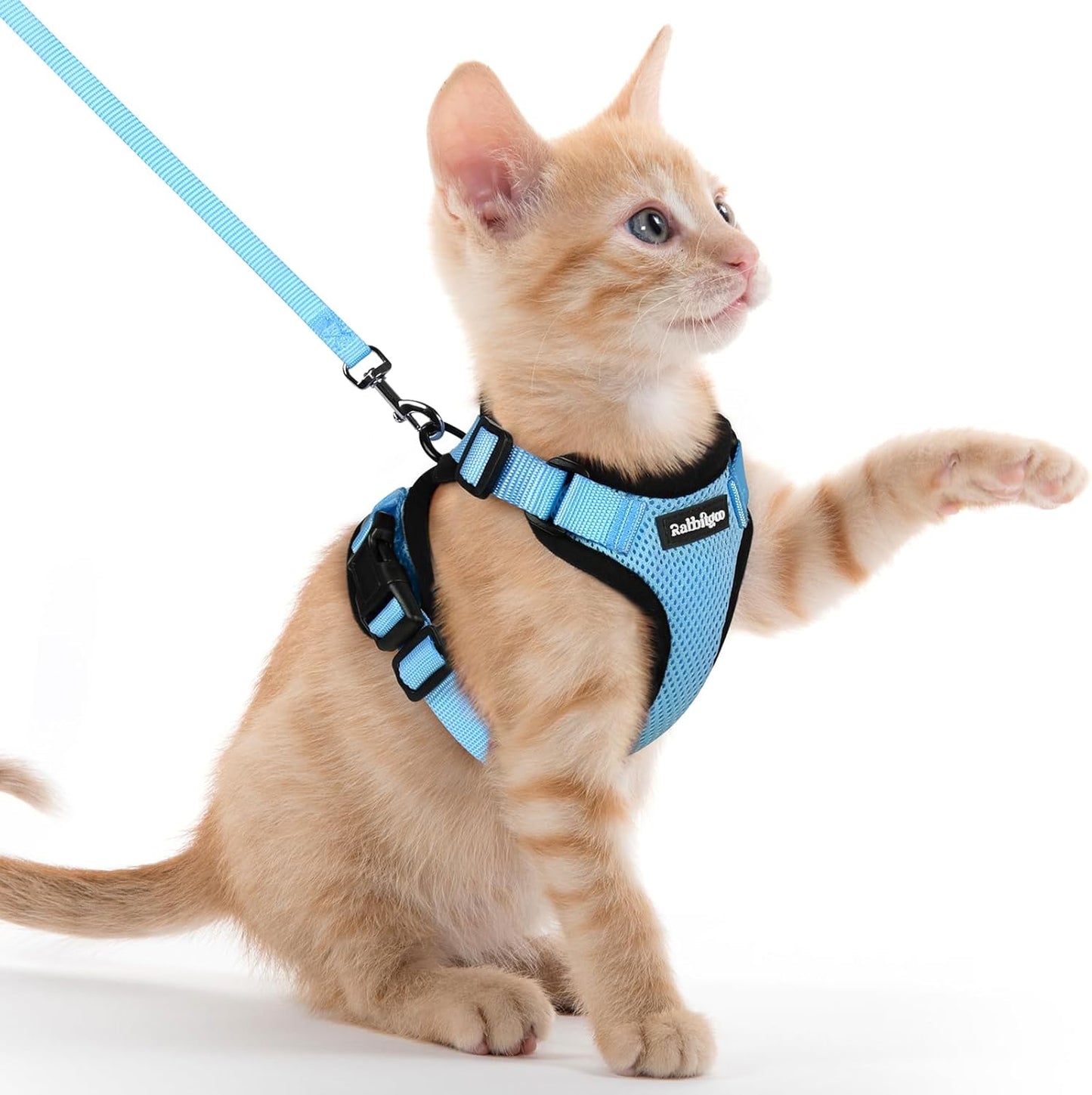 Cat Harness and Leash for Walking, Escape Proof Soft Adjustable Vest Harnesses for Cats, Easy Control Breathable Reflective Strips Jacket, Black, XS