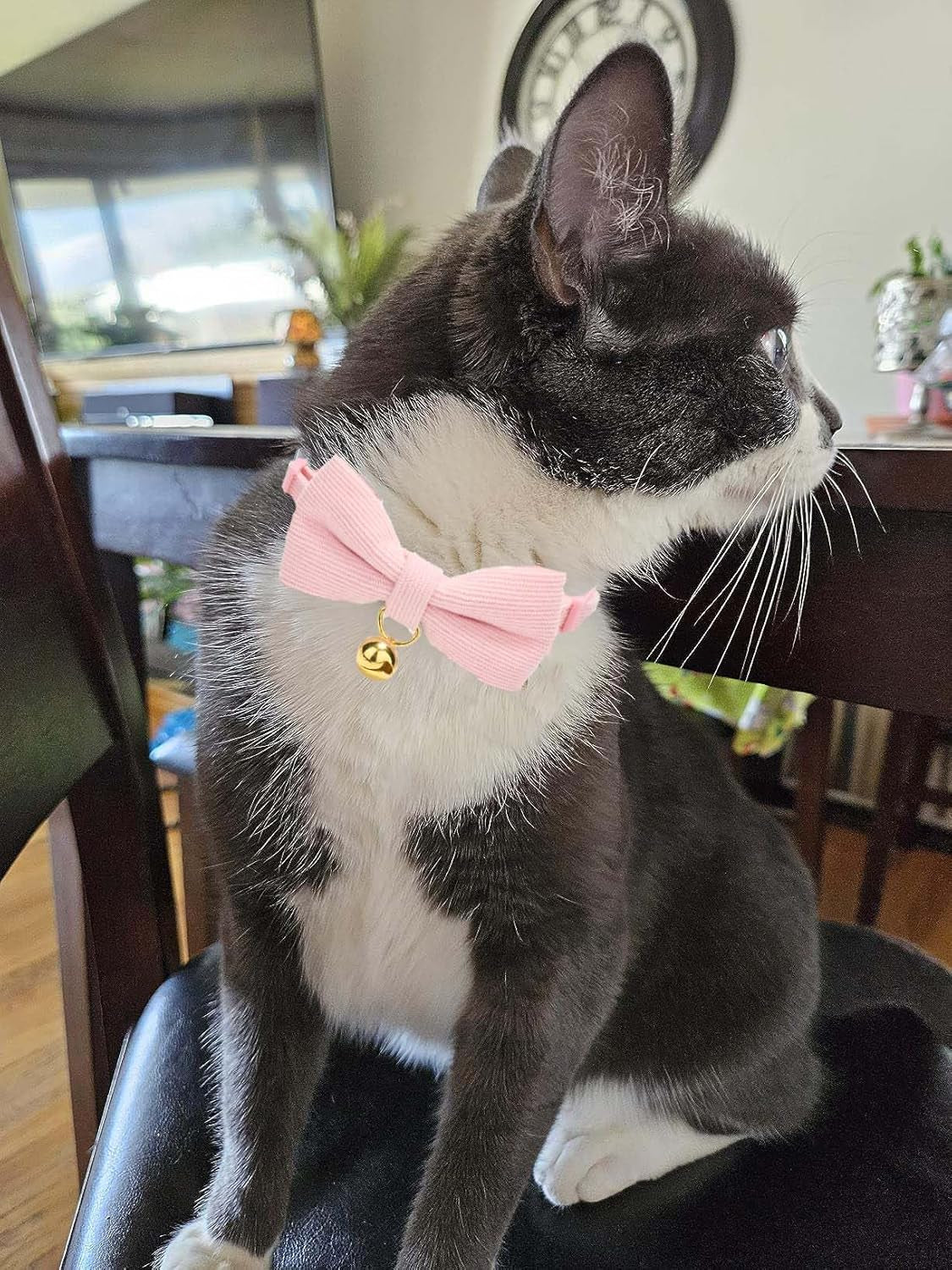 Cotton Breakaway Cat Collar with Bow Tie and Bell, Adjustable Cute Soft Corduroy Kitten Collars for Girl Cats