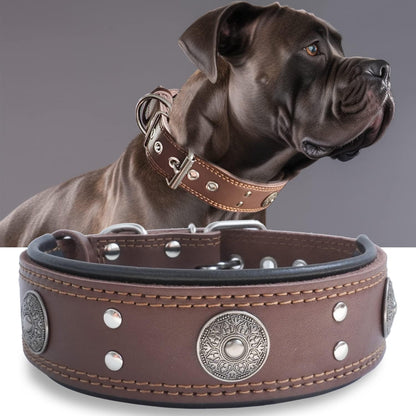 Leather Dog Collar, 2 Inches Wide Heavy Duty Genuine Leather Collars, Handmade, Soft, and Luxury, Eye-Catching Best Choice for Large and Medium Breed Dogs, Orange 18.5-22.5 In