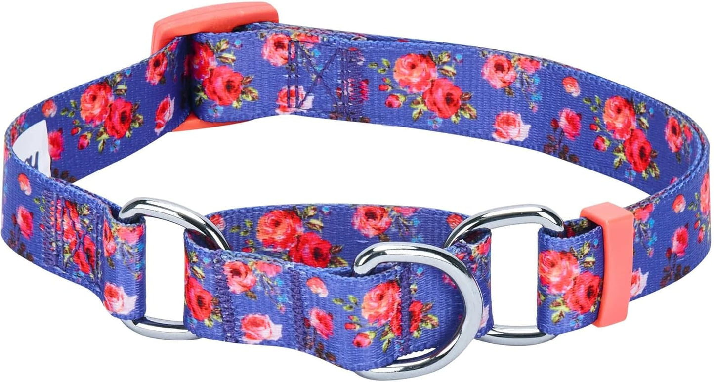 Spring Scent Inspired Rose Print Martingale Safety Training Dog Collar, Turquoise, Small, Heavy Duty Adjustable Collars for Dogs