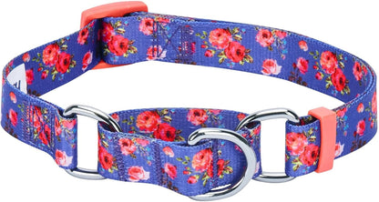 Spring Scent Inspired Rose Print Martingale Safety Training Dog Collar, Turquoise, Small, Heavy Duty Adjustable Collars for Dogs
