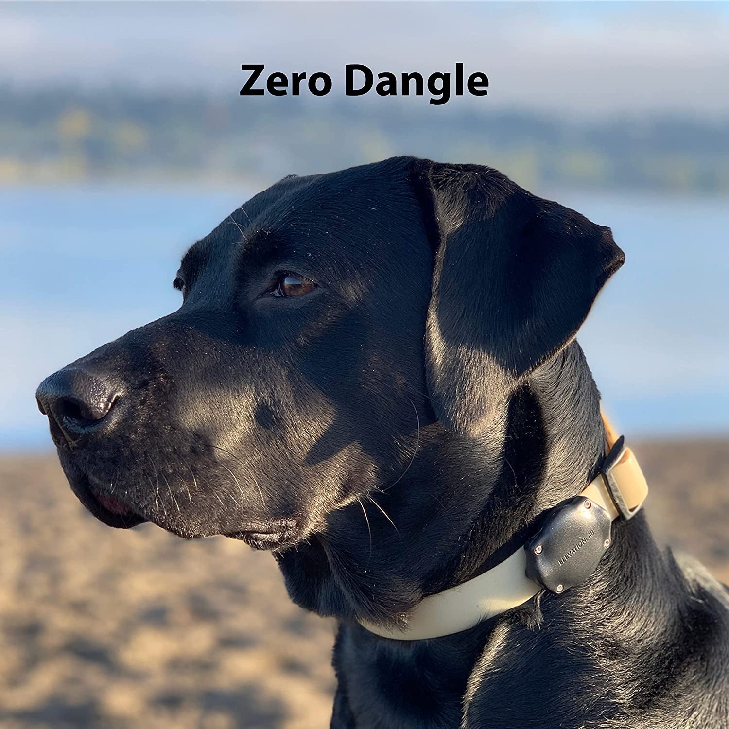 Airtag Dog Collar Holder - Tagvault™ - Secure Thru-Mount, IP69 Waterproof, Doesn'T Dangle, Fits All Width Collars