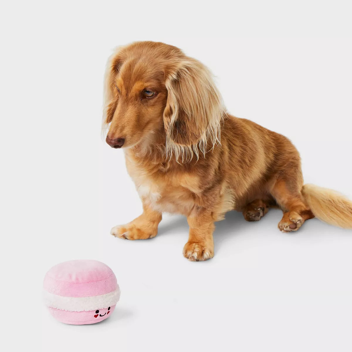 Macaroon Plush Dog Toy - Boots & Barkley™