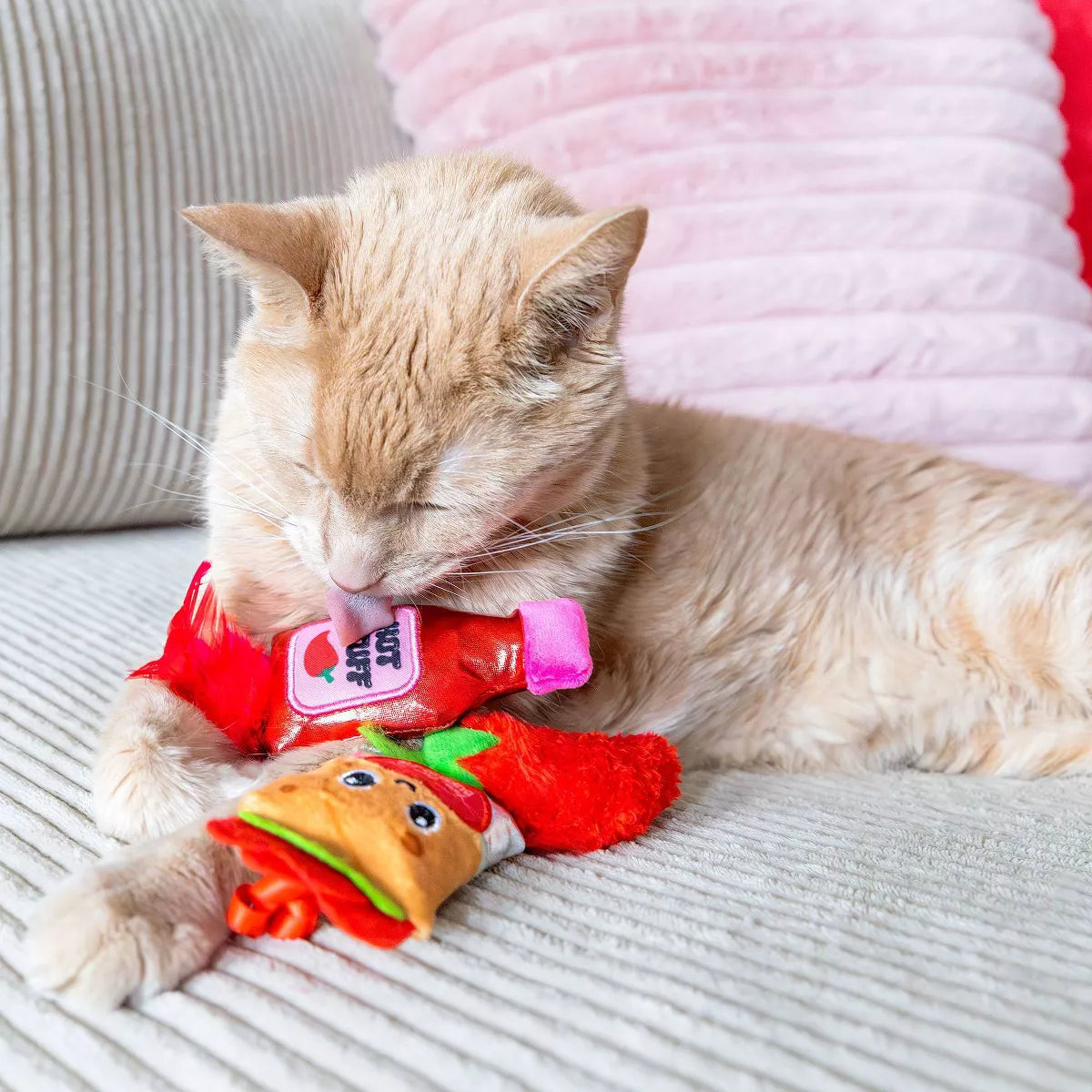 Quirky Kitty You Are Burrito-Ful Plush Cat Toy