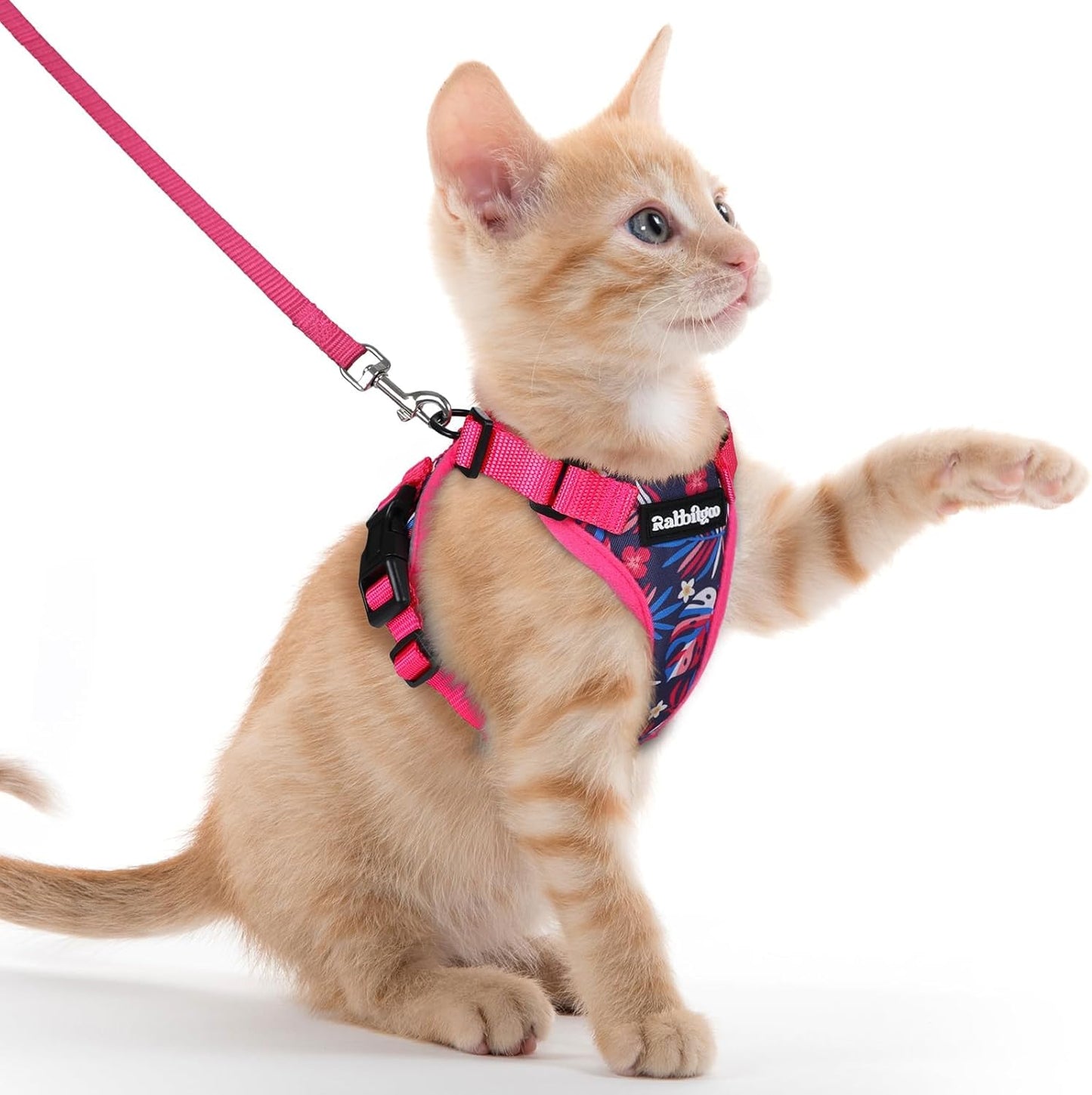 Cat Harness and Leash for Walking, Escape Proof Soft Adjustable Vest Harnesses for Cats, Easy Control Breathable Reflective Strips Jacket, Black, XS